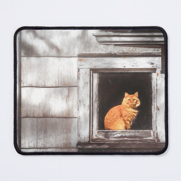 Item preview, Sunny Window Seat designed and sold by Jim Love.