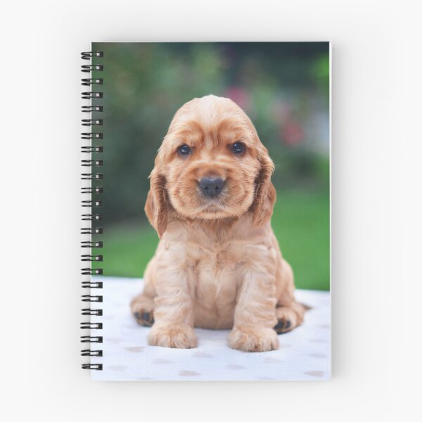 Item preview, Cocker Spaniel Puppy designed and sold by YaniOE.