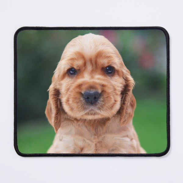 Item preview, Cocker Spaniel Puppy designed and sold by YaniOE.