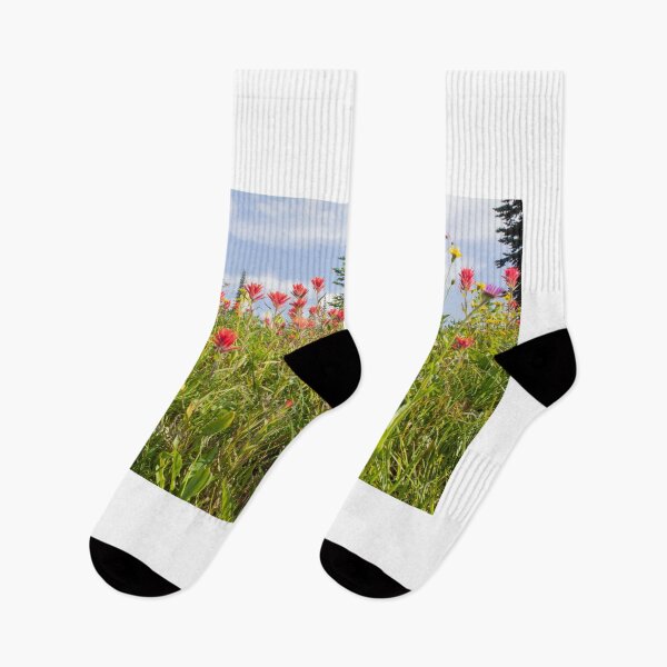 Artikelvorschau, Bergblumen im Frühjahr entworfen und verkauft von ianmark.
