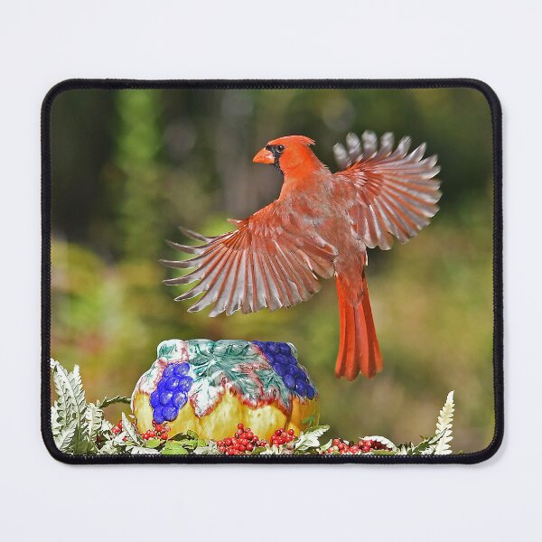 Item preview, Red Northern Cardinal Bird Wings Flying  designed and sold by candiscamera.
