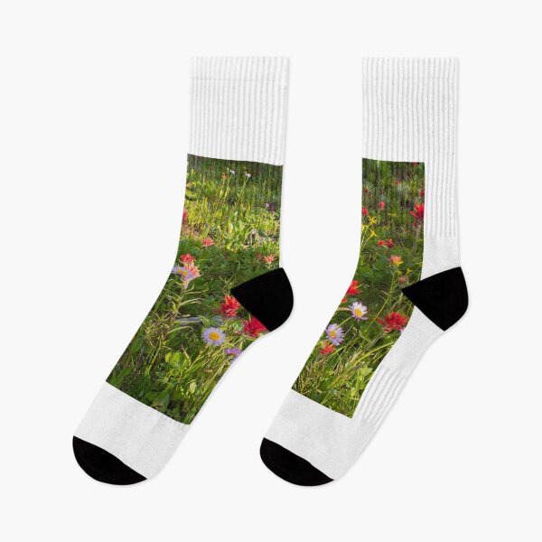Artikelvorschau, Bergblumen in voller Blüte entworfen und verkauft von ianmark.