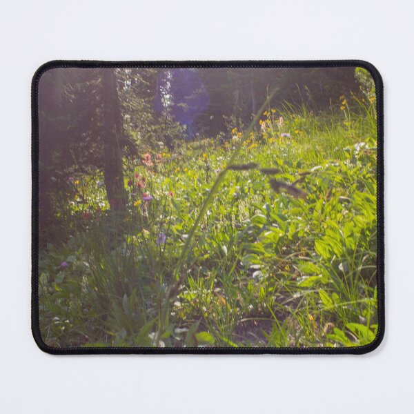 Item preview, Trees & Light designed and sold by ianmark.