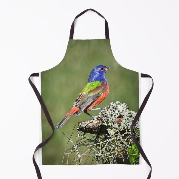 Item preview, Painted Bunting Male Bird in Florida designed and sold by candiscamera.