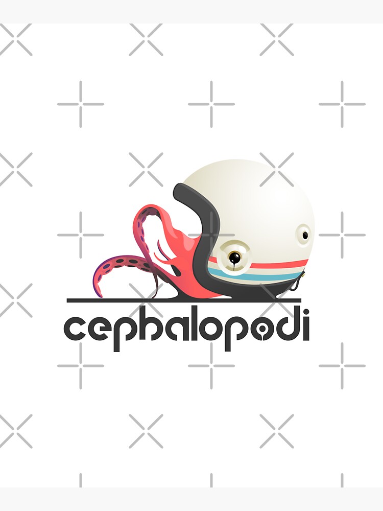 Cephalopodi brand by Cephalopodi