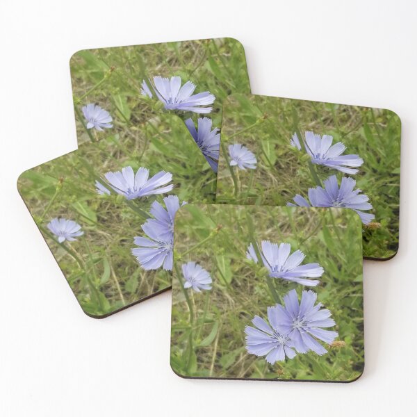 Item preview, Chicory 3 designed and sold by gratogratto.