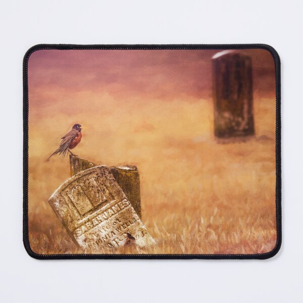 Item preview, Broken Stone Perch 2 designed and sold by Jim Love.