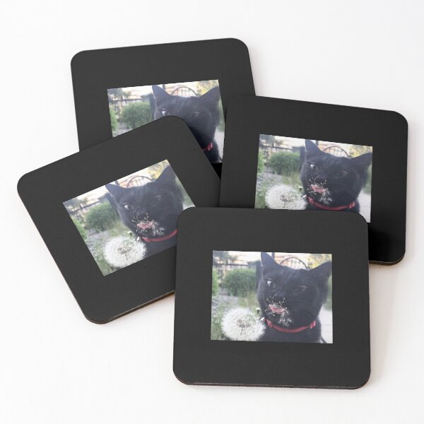 Item preview, Black cat tries dandelion designed and sold by Rashkin.