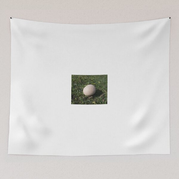 Item preview, Puffball Fungus designed and sold by Sue Robinson.