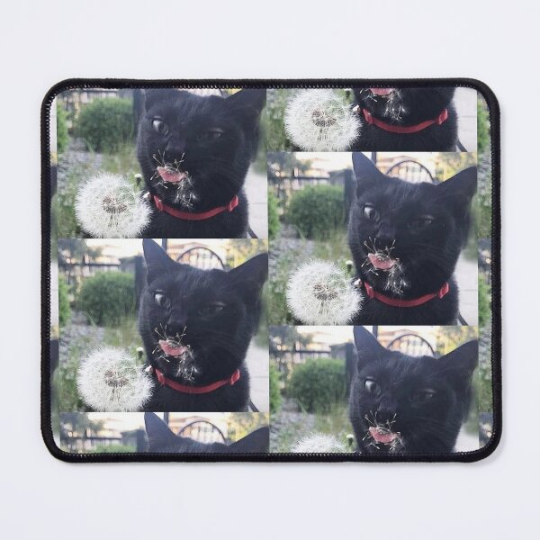 Item preview, Black cat tries dandelion designed and sold by Rashkin.