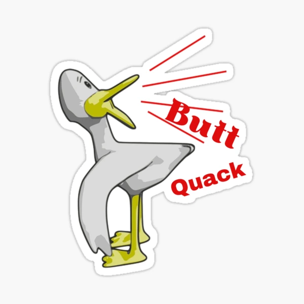 Buy Womens Butt Quack Panties Funny Duck Joke Graphic Novelty