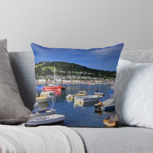 Item preview, River Teign and Shaldon  designed and sold by galpinimages.