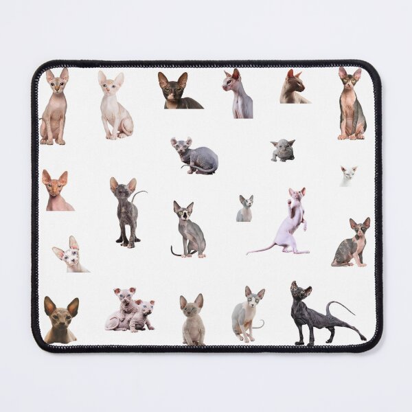 Item preview, funy cat sphynx stickers pack designed and sold by RIBAred.