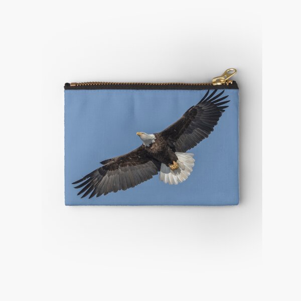 Item preview, American Bald Eagle 2017-18 designed and sold by Thomasyoung.