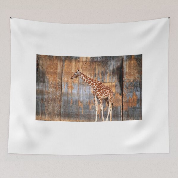 Item preview, Young Giraffe   designed and sold by Cynthia48.