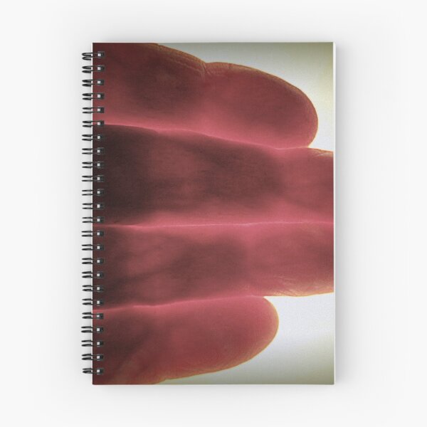 Item preview, Hand Vein System designed and sold by Diane Arndt.