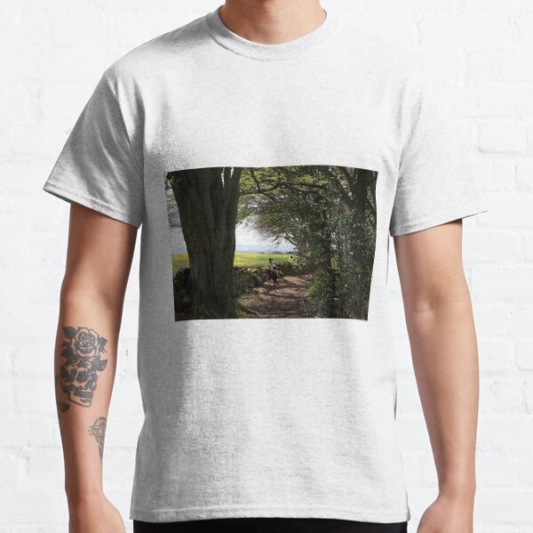 Item preview, Forest walks  designed and sold by Merice  Ewart Marshall.