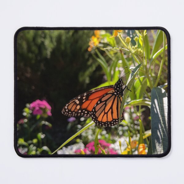 Item preview, Flutterby  designed and sold by Caitlyn Haley.