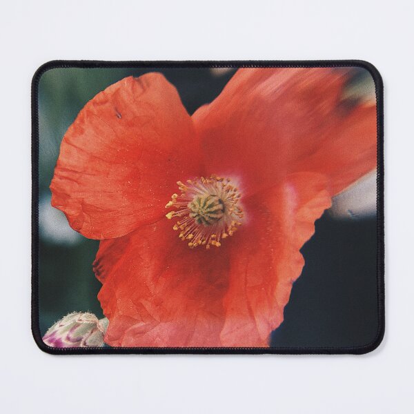 Item preview, Flower Smear designed and sold by Caitlyn Haley.