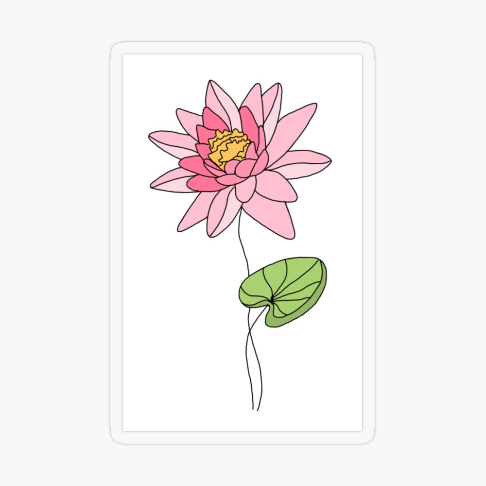 july birth month flower water lily Art Board Print for Sale by