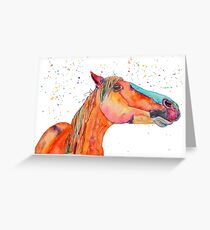 Zouros - arabian horse merchandise Greeting Card