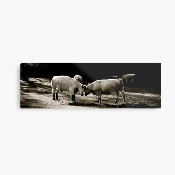 Love Metal Print