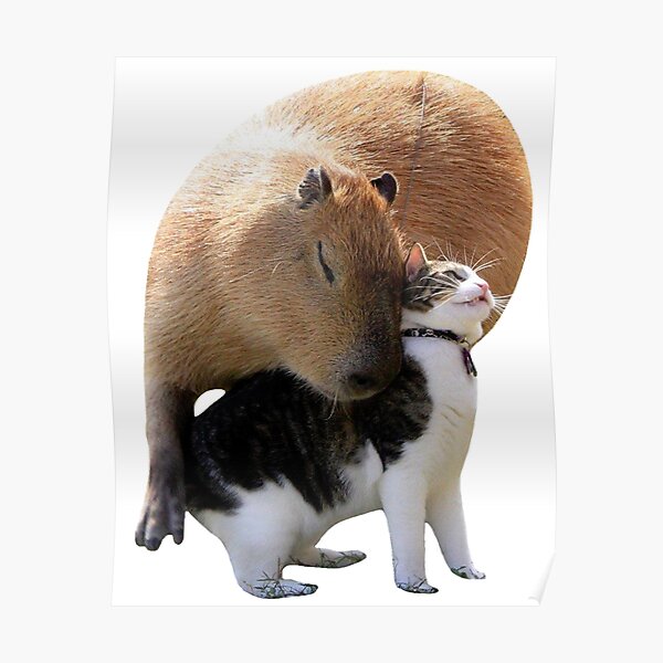 Capybara & Cat Poster
