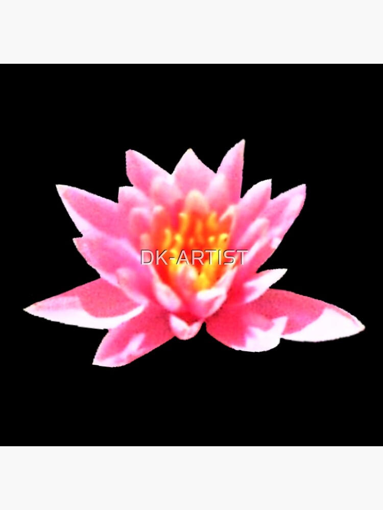 "LOTUS FLOWER Floral ArtDesign" Poster for Sale by DKARTIST Redbubble