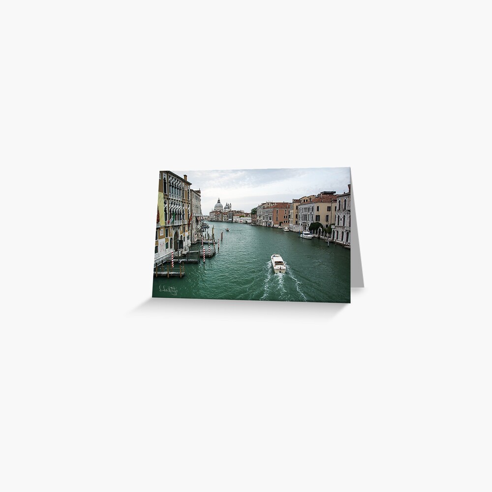 Item preview, Greeting Card designed and sold by leemcintyre.