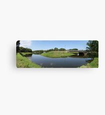the pond Canvas Print