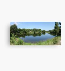 small pond Canvas Print