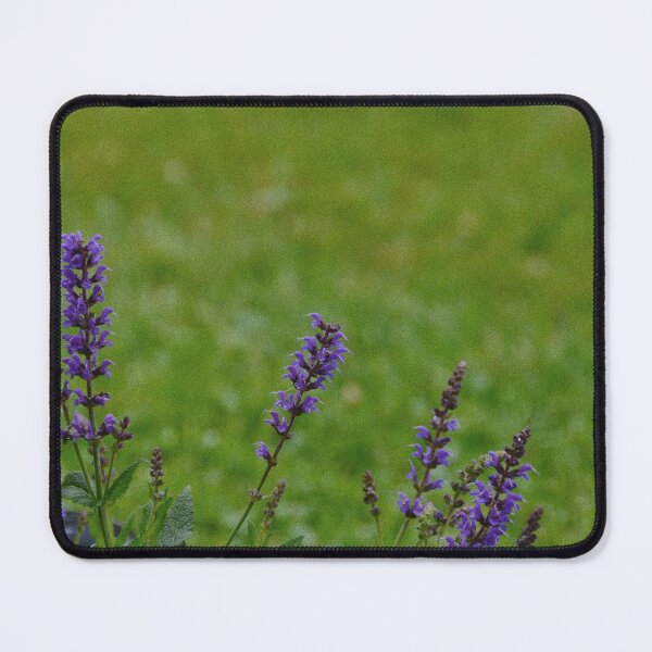 Item preview, Field designed and sold by Caitlyn Haley.