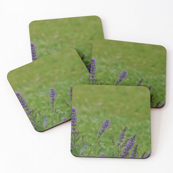 Item preview, Field designed and sold by Caitlyn Haley.