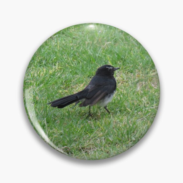 Item preview, Willie wagtail designed and sold by greentiger1.