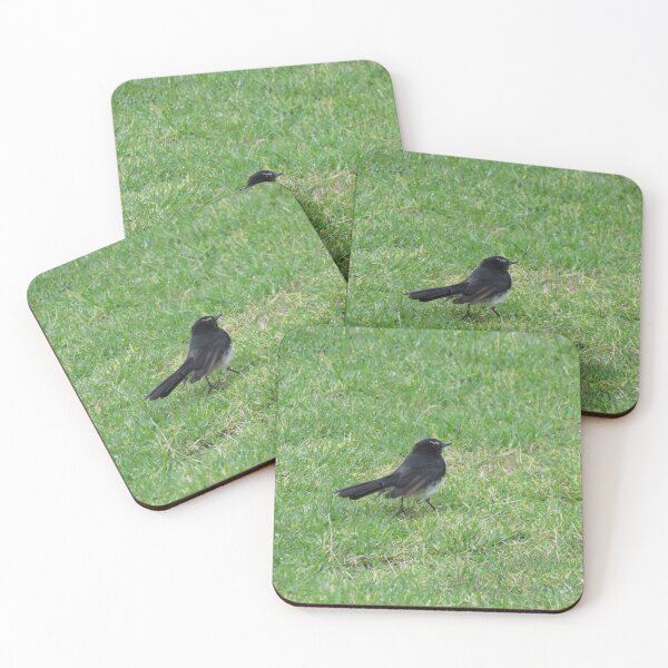 Item preview, Willie wagtail designed and sold by greentiger1.