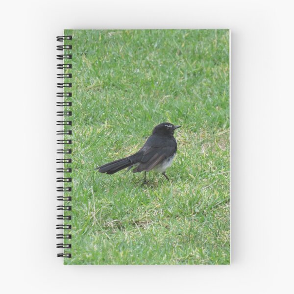 Item preview, Willie wagtail designed and sold by greentiger1.