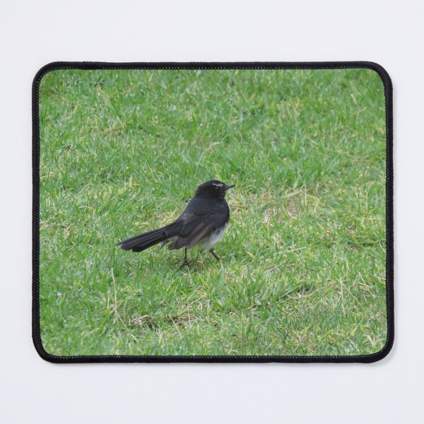 Item preview, Willie wagtail designed and sold by greentiger1.