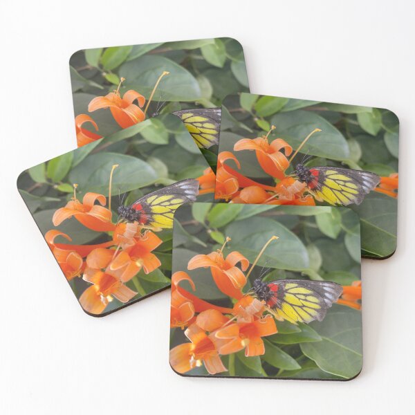 Artikelvorschau, Schmetterling auf einer orangefarbenen Blume entworfen und verkauft von Sinemathk.