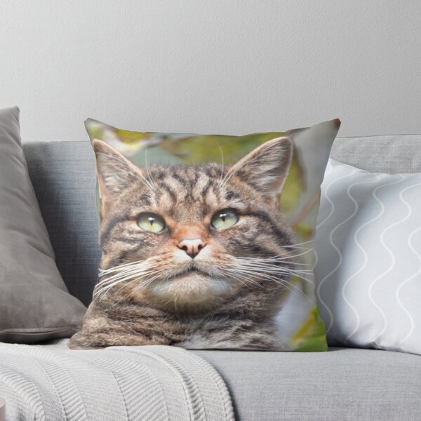 Item preview, Highland Tiger designed and sold by Dorothy Thomson.