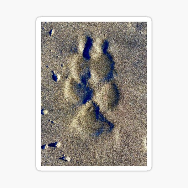 Item preview, Beach Series - Paw Prints In The Sand designed and sold by DigiDog Designs.