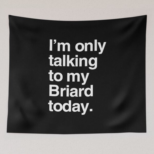 Item preview, I'm Only Talking To My Briard designed and sold by More Cute Dogs.