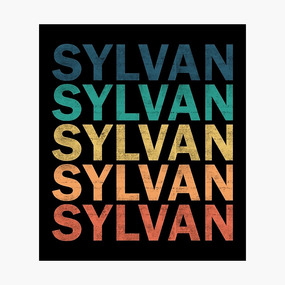Vintage Sylvan Distressed Logo Tee, USA Made Tee, Screen Printing, Online Stores
