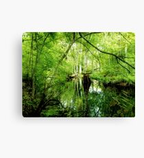 fern gully Canvas Print