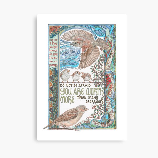 More than Many Sparrows Canvas Print