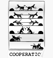 What Is Cooperation? Poster