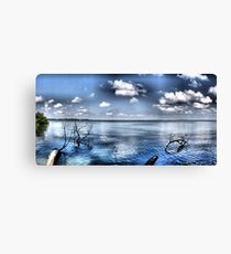 the bay Canvas Print