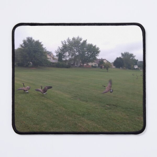 Item preview, Free Bird designed and sold by Spectrum Perspectives.
