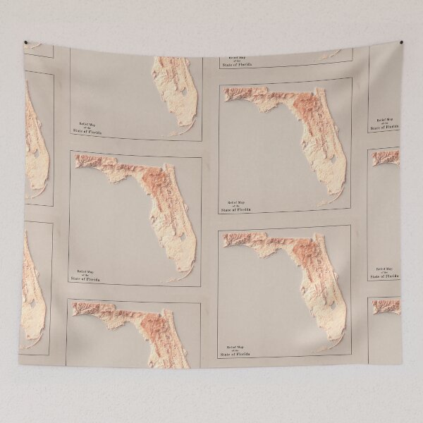 Item preview, Florida Relief Map 3D digitally-rendered designed and sold by ThinkAboutMaps.