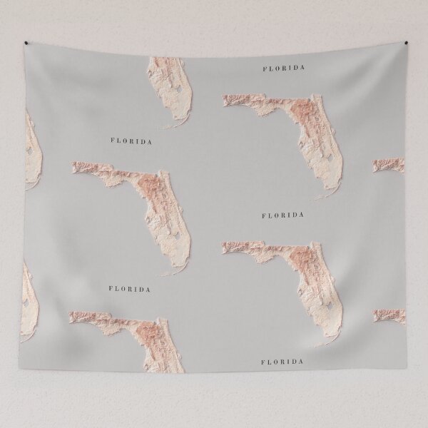 Item preview, Florida Relief Map 3D digitally-rendered designed and sold by ThinkAboutMaps.