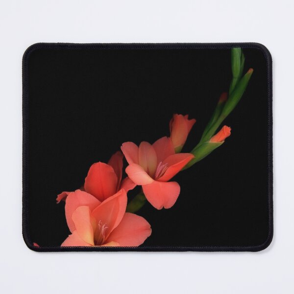 Item preview, Scarlet designed and sold by MazGhani.